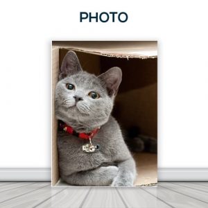 PHOTO PRINT CANVAS / SEMI GLOSS PHOTO PRINT